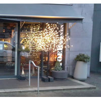 Kerstboom voor binnen en buiten 