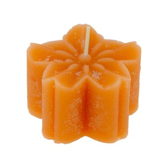 Bloemenkaars oranje