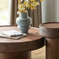 Dara salontafel mangohout bruin WOOOD