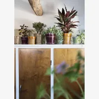  Groene bloempot met schotel – Madam Stoltz