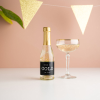 Secco Drink It Gold as Ice!