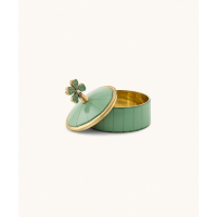 Lucky Clover Circus Doosje