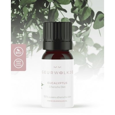 Eucalyptus etherische olie Geurwolkje