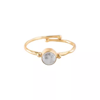 Faithful Maansteen Vergulde Ring A Beautiful Story